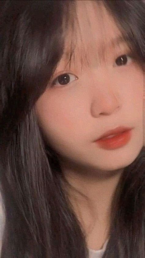 平原烽火全部免费看